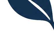 Leaf accent representing foundation and trust